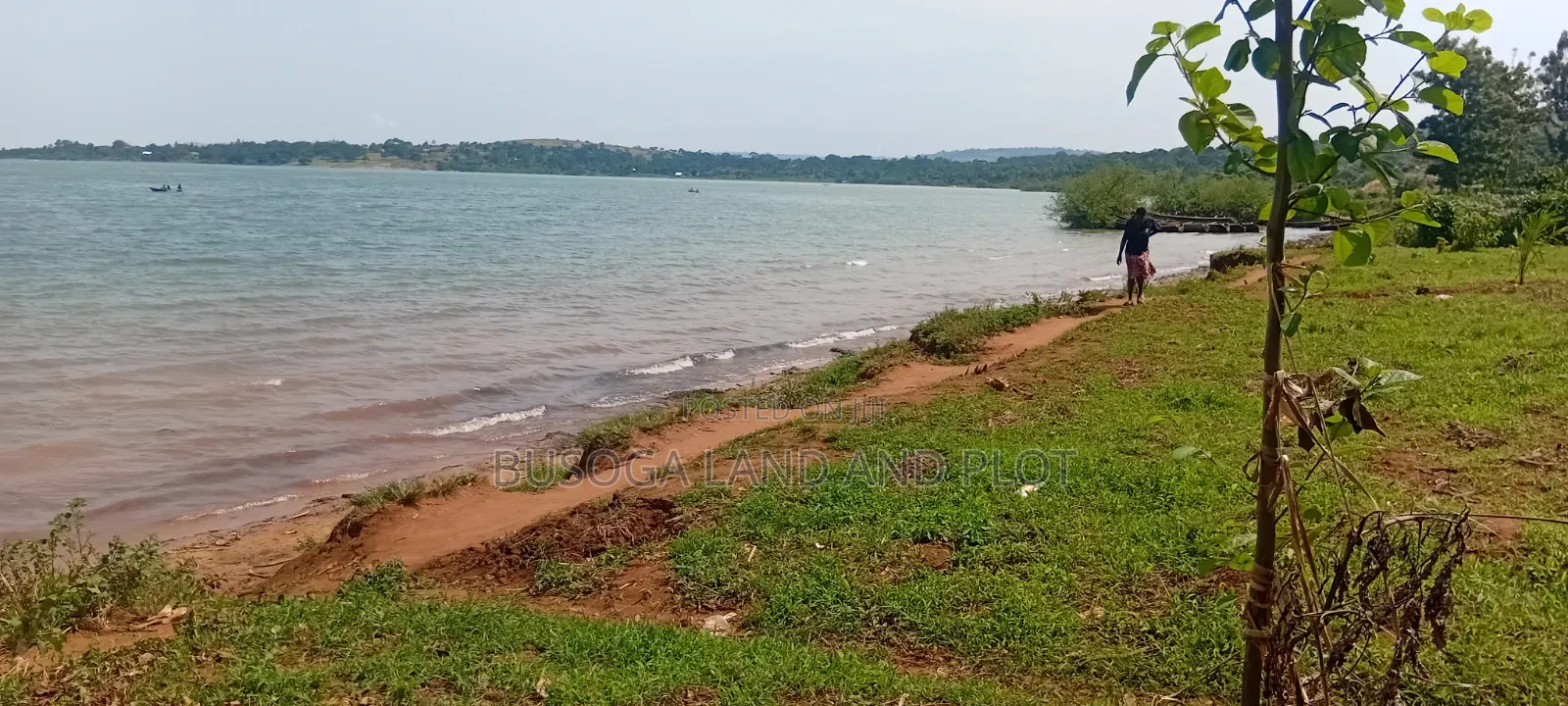 4 Acres of Beautiful Lake Victoria Waterfront Land at 160m for the All in Kamuli