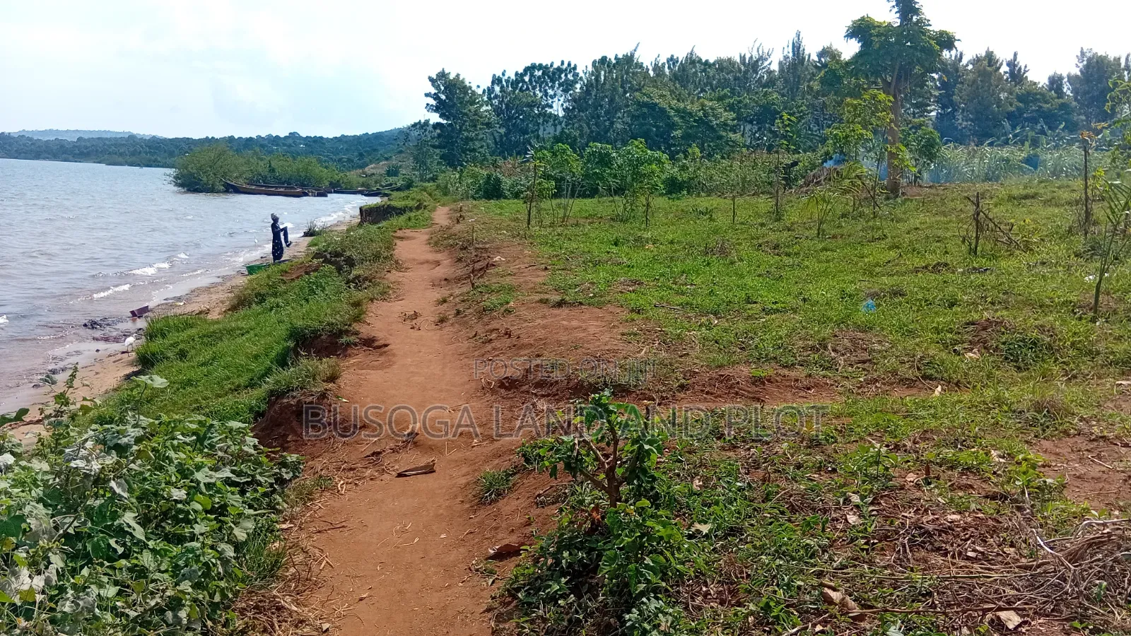 4 Acres of Beautiful Lake Victoria Waterfront Land at 160m for the All in Kamuli