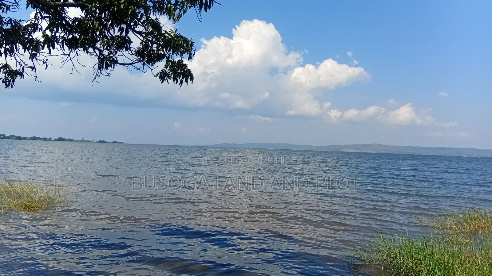 4 Acres of Beautiful Lake Victoria Waterfront Land at 160m for the All in Kamuli