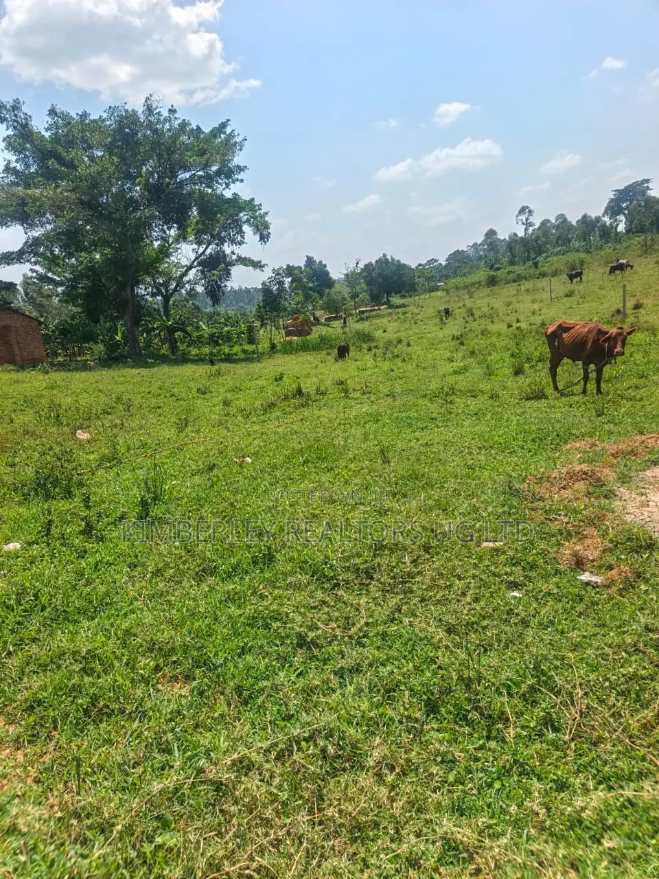 Prime Plots for Sale – Gayaza Kiwenda in Division A