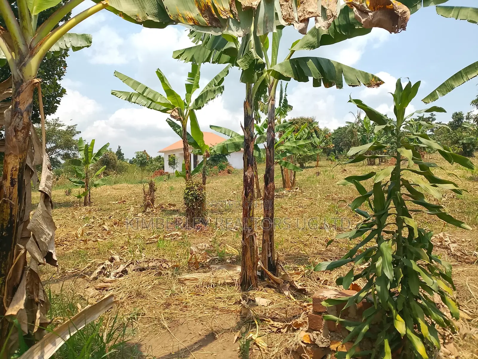 1 Acre of Land for Sale – Matugga Kalasa in Division A