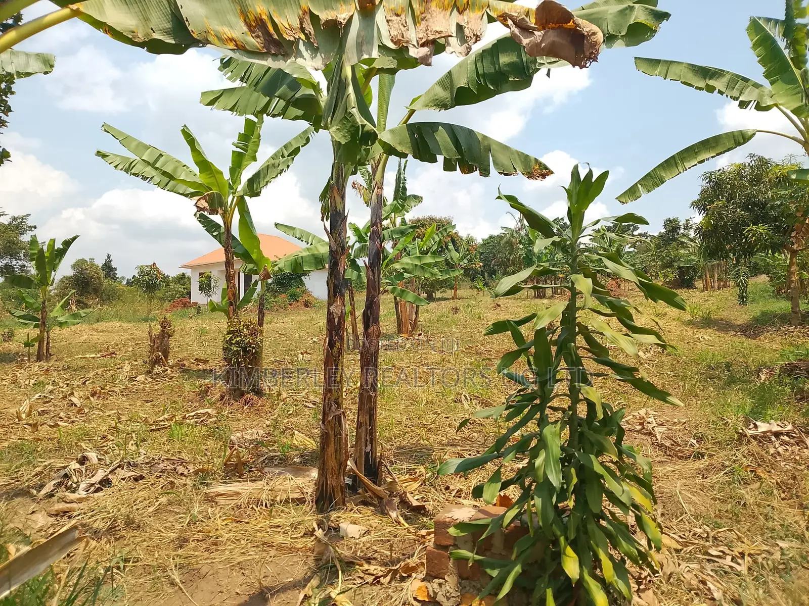 1 Acre of Land for Sale – Matugga Kalasa in Division A