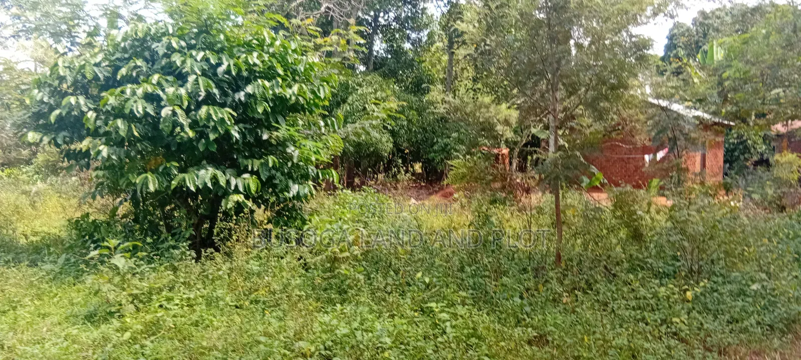 1.5 Acres of Land With Semi-Finished House Structure, Kasambira Kamuli in Kamuli