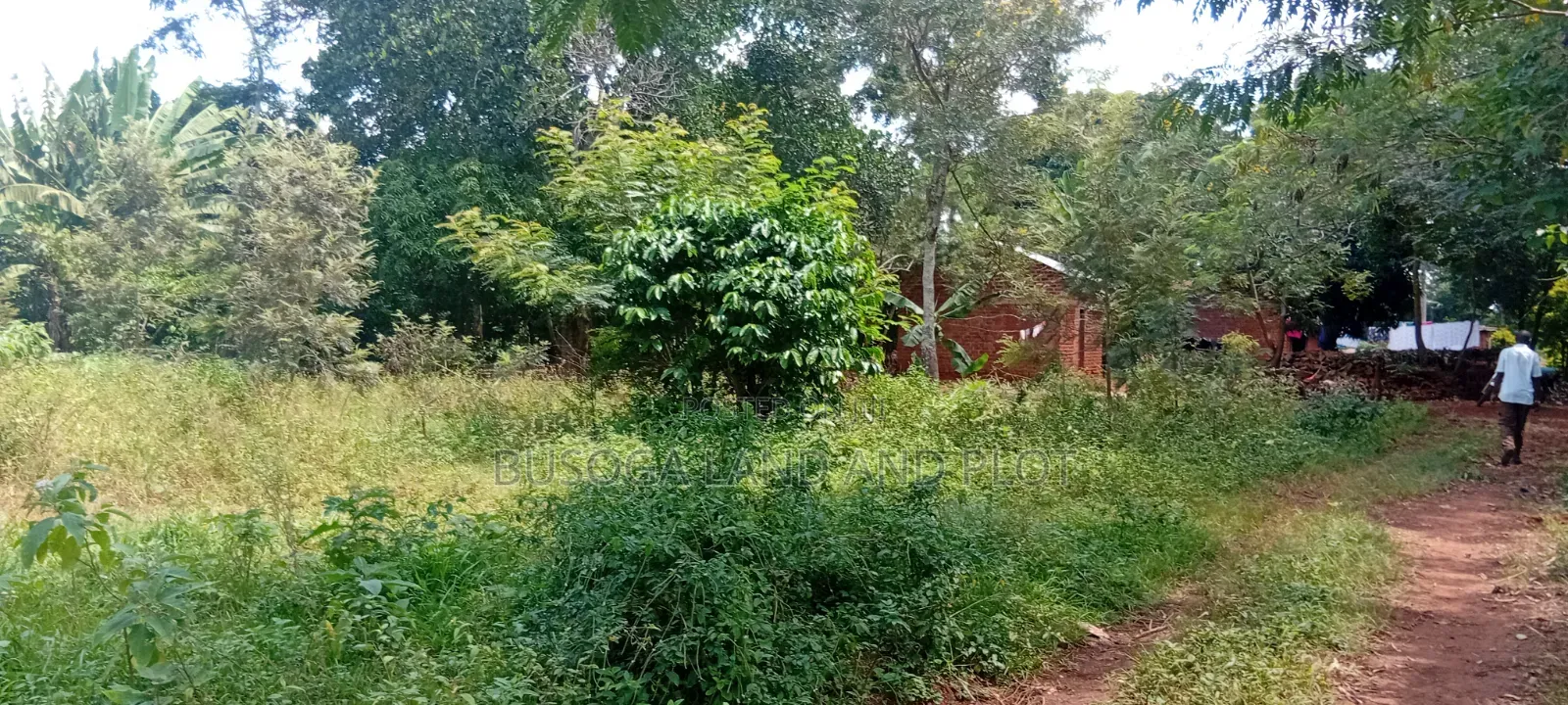 1.5 Acres of Land With Semi-Finished House Structure, Kasambira Kamuli in Kamuli