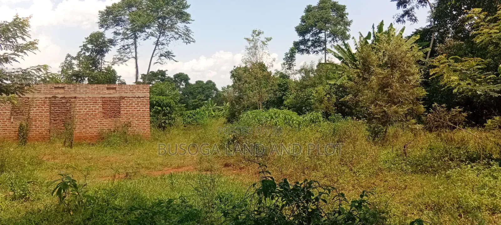 1.5 Acres of Land With Semi-Finished House Structure, Kasambira Kamuli in Kamuli