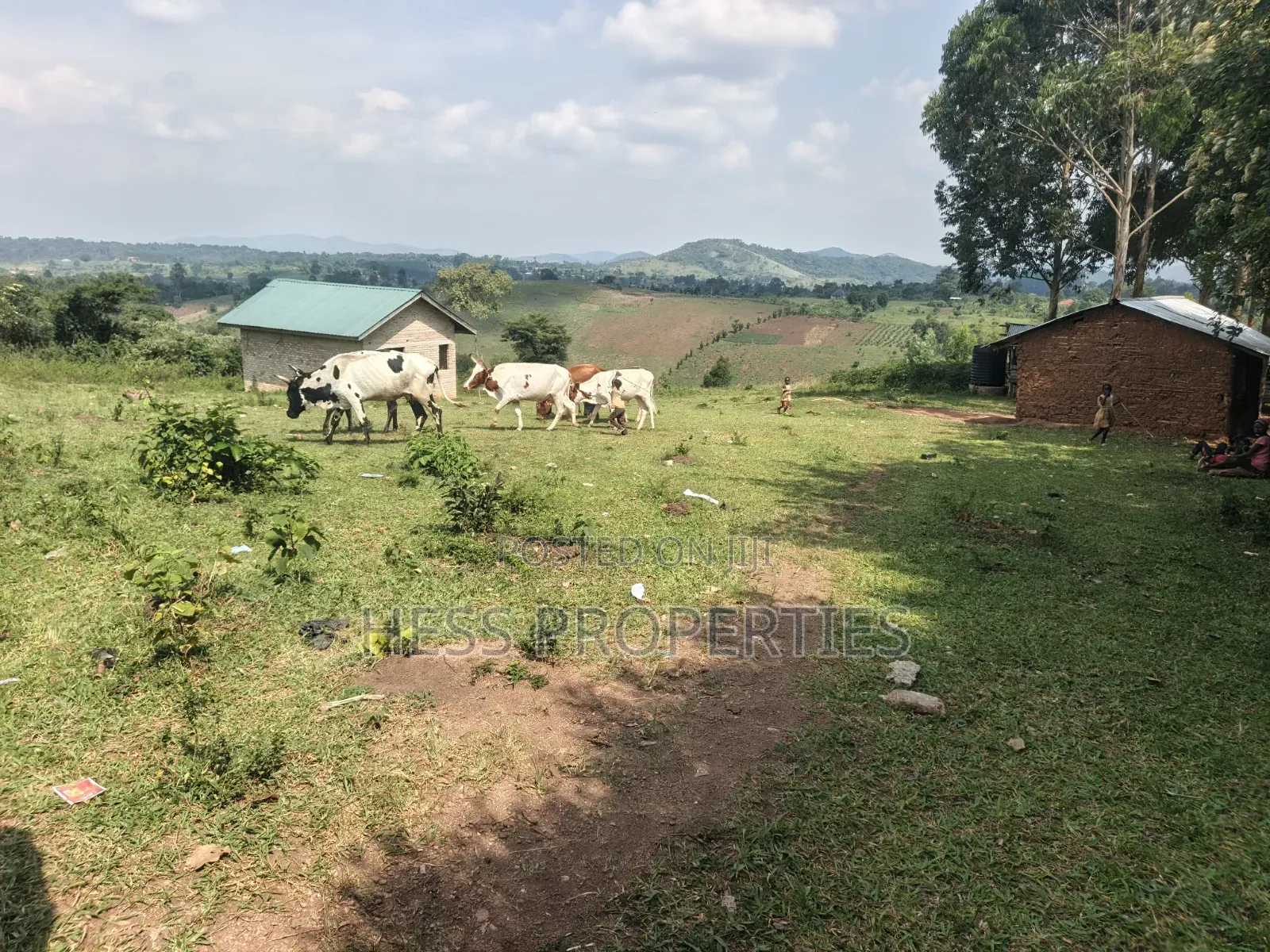 12acres of Afarmland on Sale in -Katooke Kyenjojo District in Kyenjojo