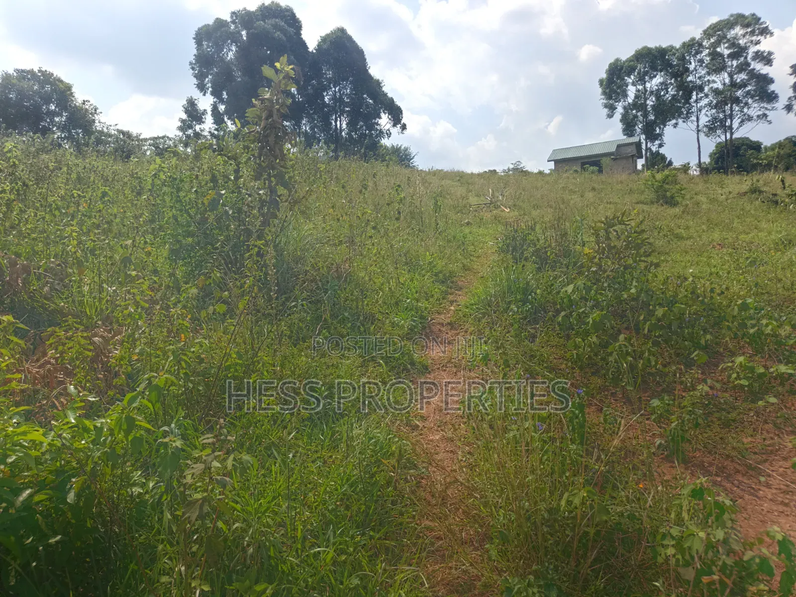 12acres of Afarmland on Sale in -Katooke Kyenjojo District in Kyenjojo