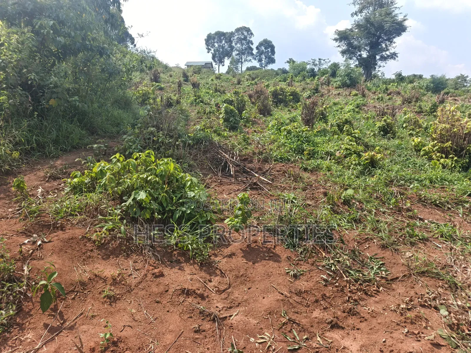 12acres of Afarmland on Sale in -Katooke Kyenjojo District in Kyenjojo