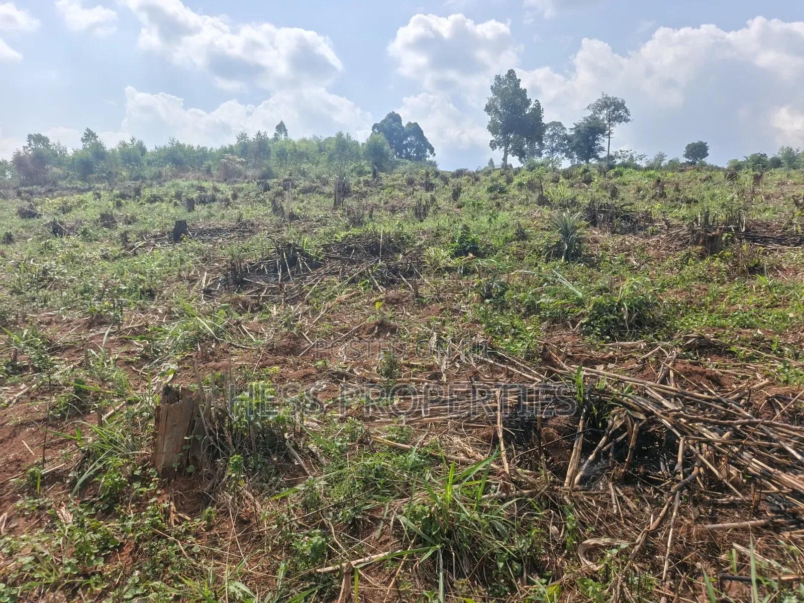 12acres of Afarmland on Sale in -Katooke Kyenjojo District in Kyenjojo