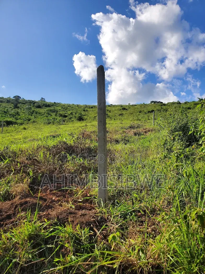 2 Plots Each 50ft*100ft Land on Hill in Kakiri
