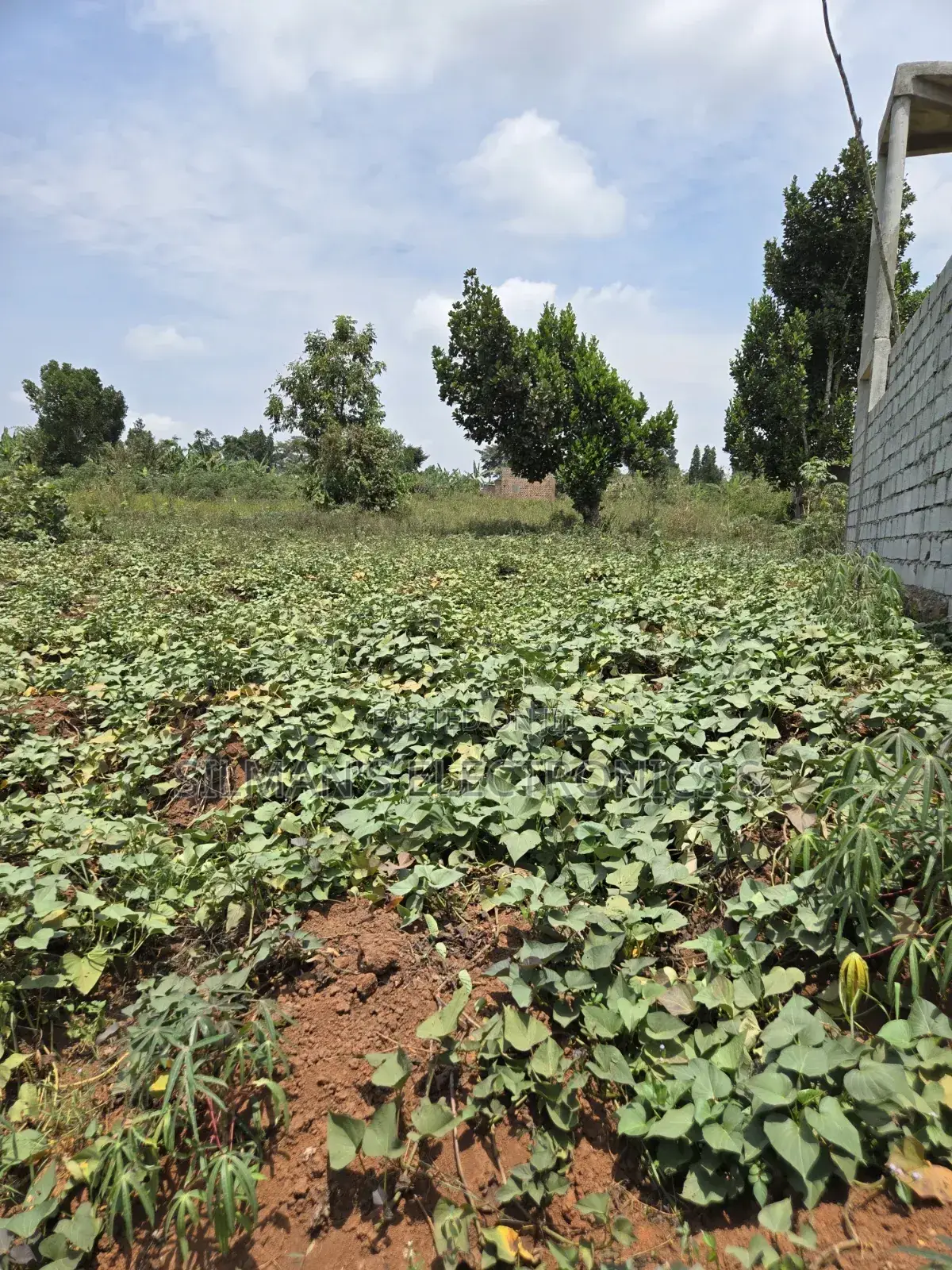 Plot for Sale Titled 100 by 50ft Matugga Ssanga in Central Division