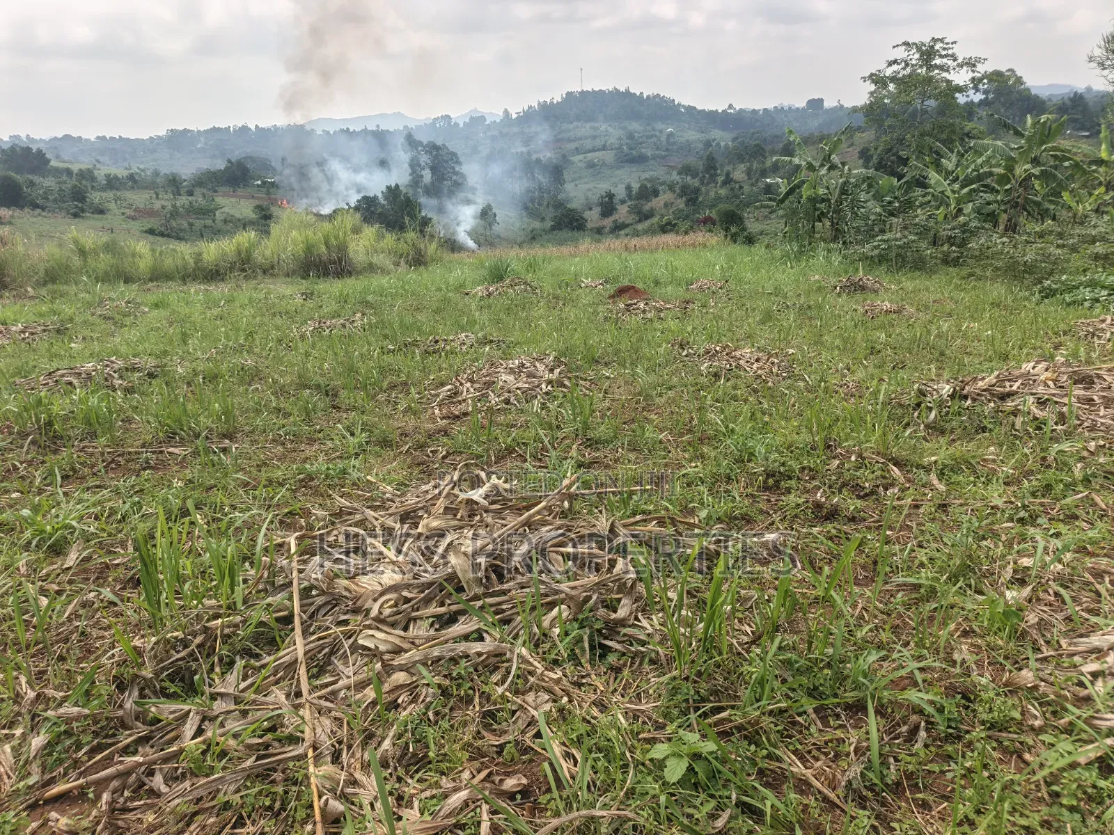 6acres of Land on Sale Located in Kyenjojo-Katooke in Kyenjojo