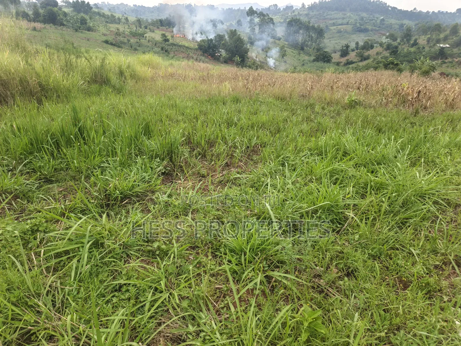 6acres of Land on Sale Located in Kyenjojo-Katooke in Kyenjojo
