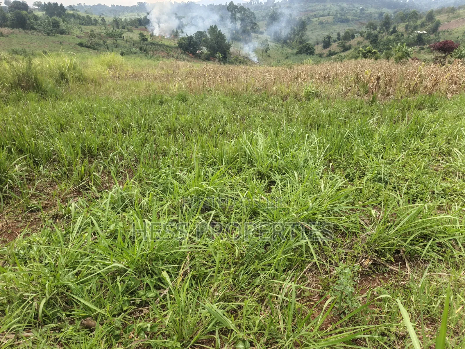 6acres of Land on Sale Located in Kyenjojo-Katooke in Kyenjojo