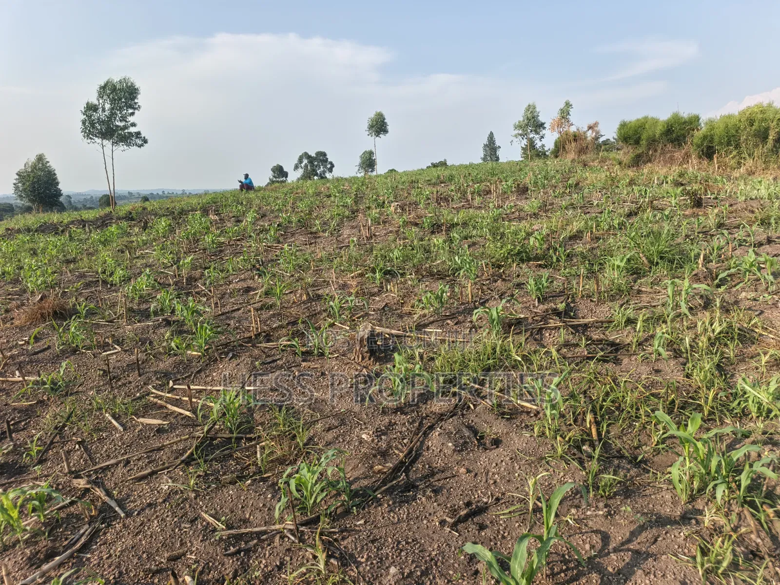 23acres of Agriculture Land on Sale Located in Bufunjo-Kyenjojo in Kyenjojo