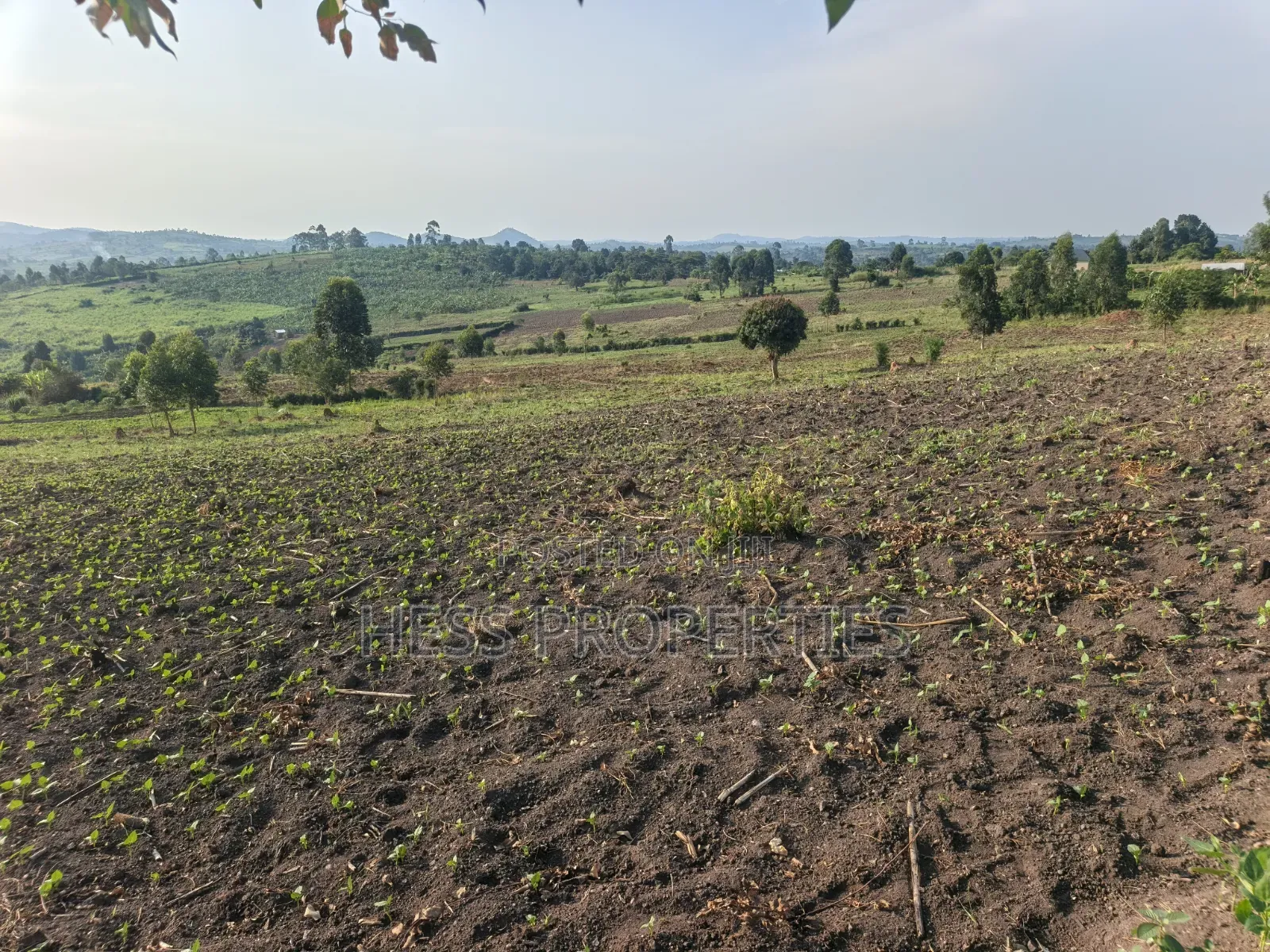 23acres of Agriculture Land on Sale Located in Bufunjo-Kyenjojo in Kyenjojo