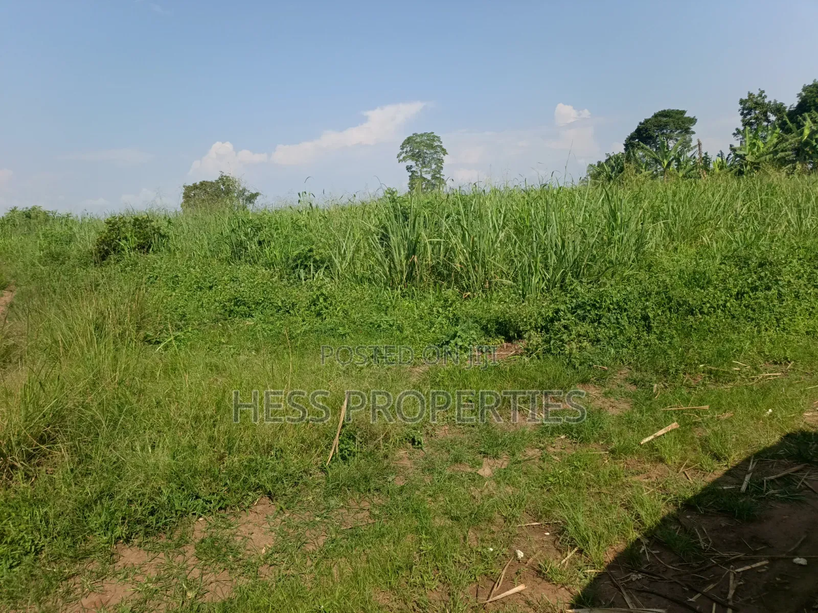 140acres of Land on Sale Located in Bufunjo-Kyenjojo in Kyenjojo