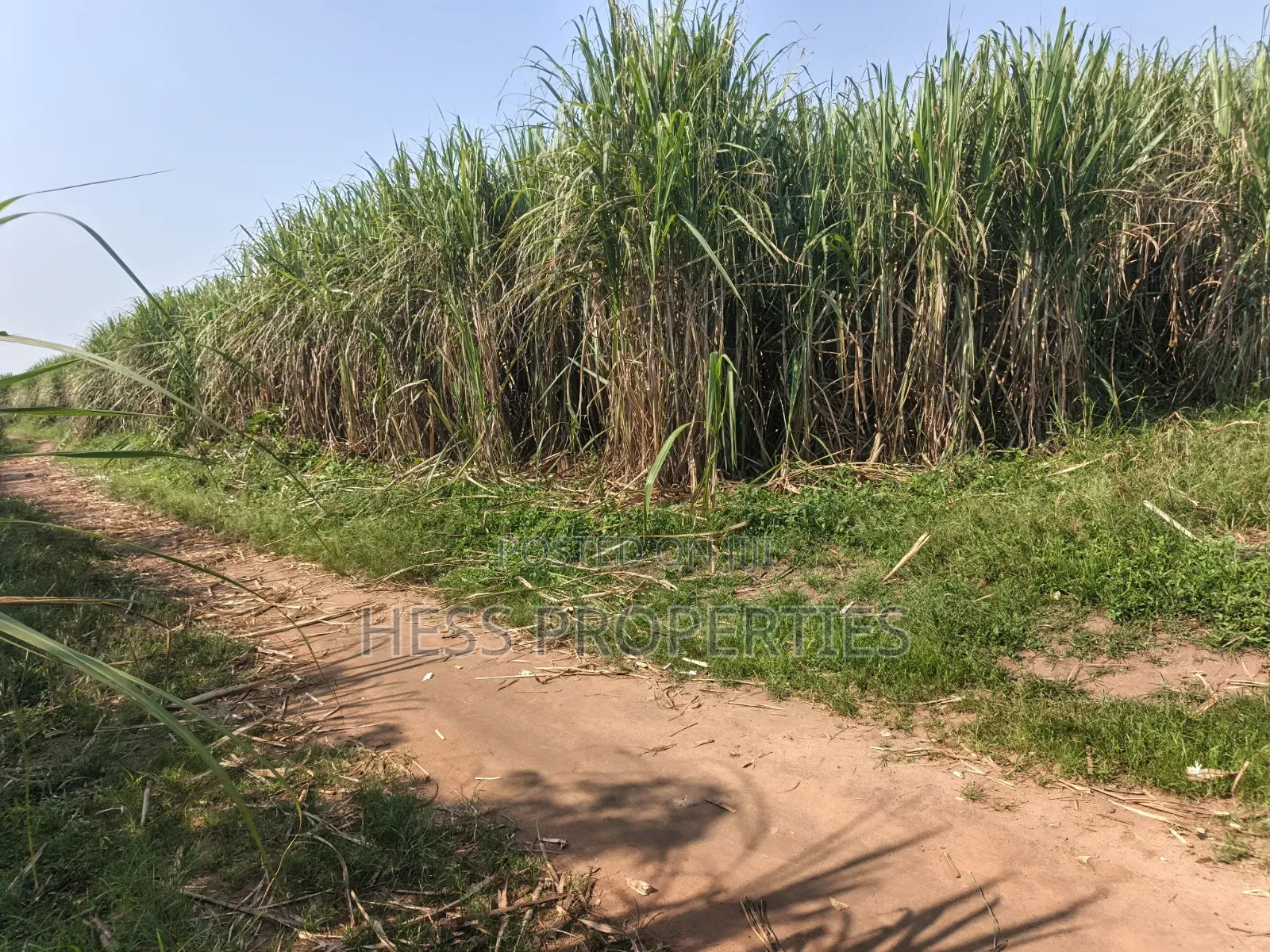 140acres of Land on Sale Located in Bufunjo-Kyenjojo in Kyenjojo