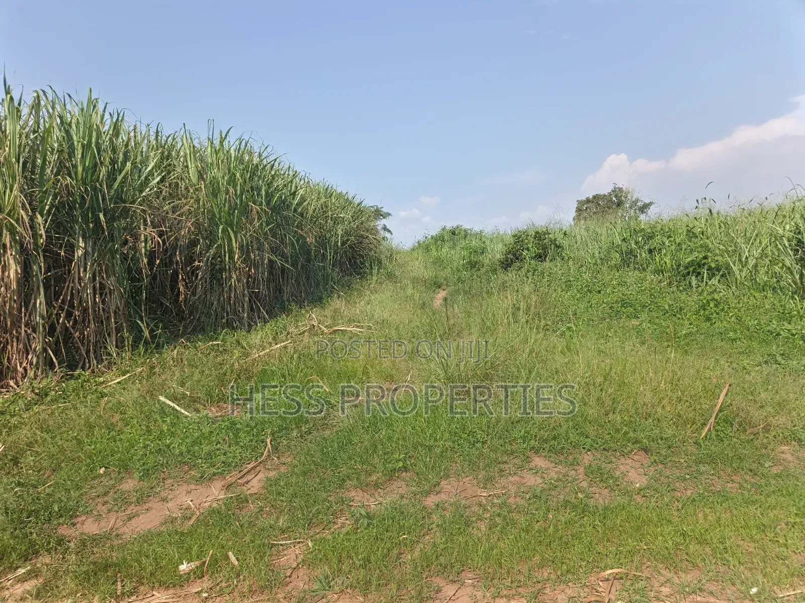 140acres of Land on Sale Located in Bufunjo-Kyenjojo in Kyenjojo