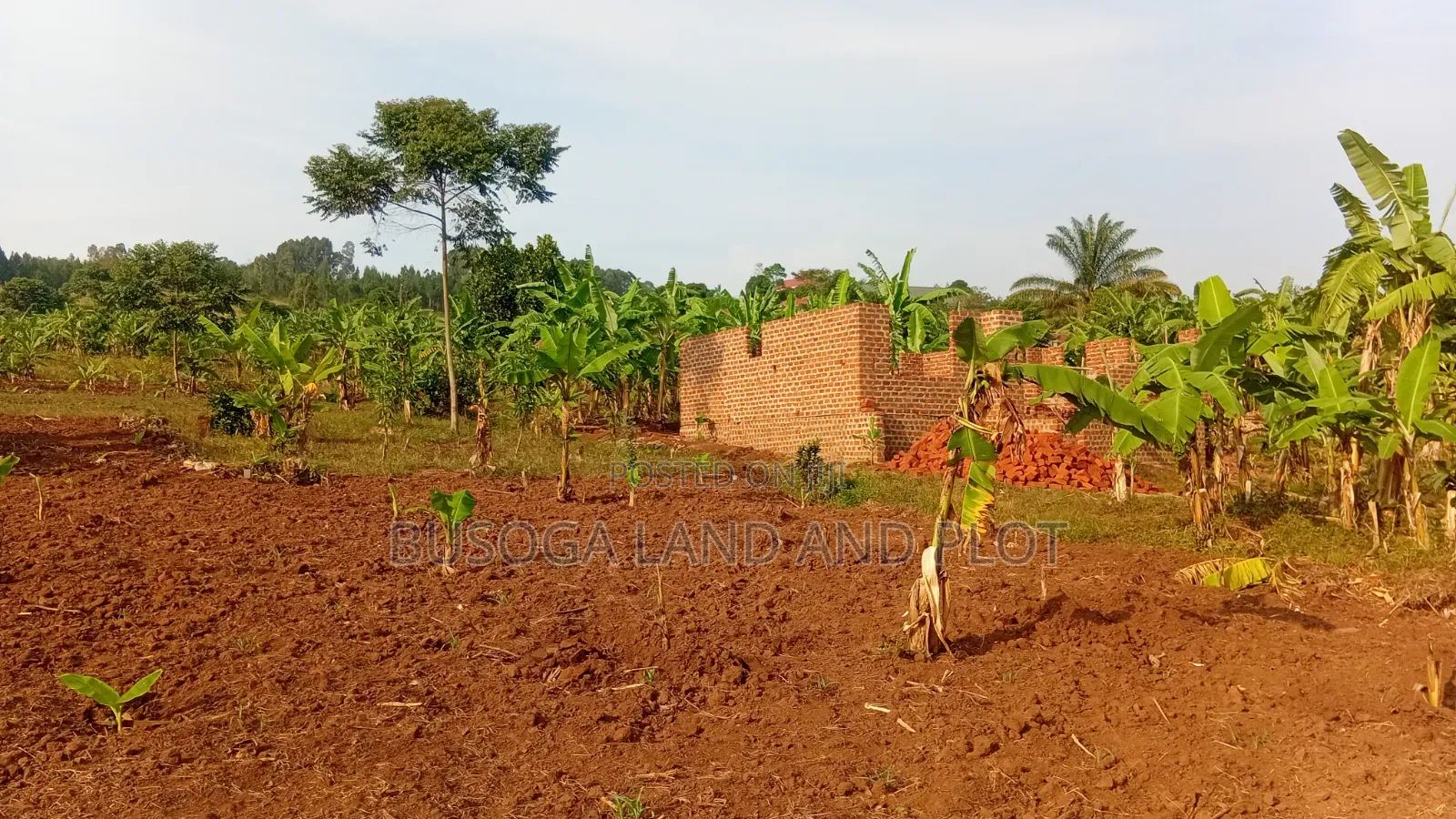 50×100ft –18M| 100×100ft –36M| 50×50ft –9M| Plots, Mafubira,Jinja City in Jinja