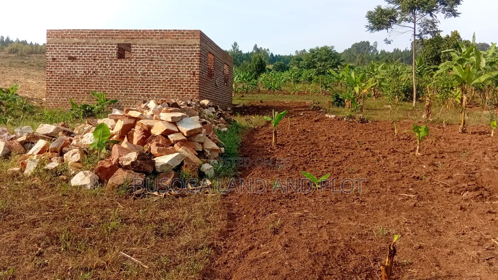 50×100ft –18M| 100×100ft –36M| 50×50ft –9M| Plots, Mafubira,Jinja City in Jinja