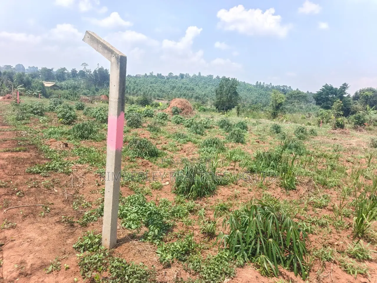 Plots for Sale – Namugongo Bukerere! in Division A