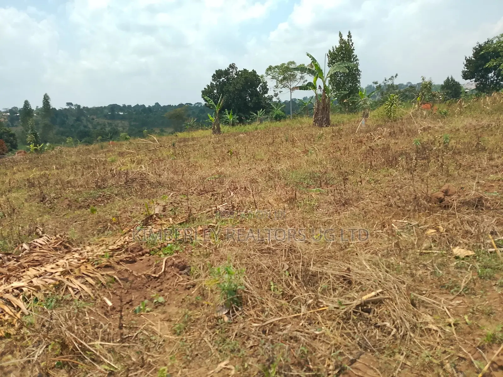 10 Plots for Sale – Kilolo Kabale! in Division A