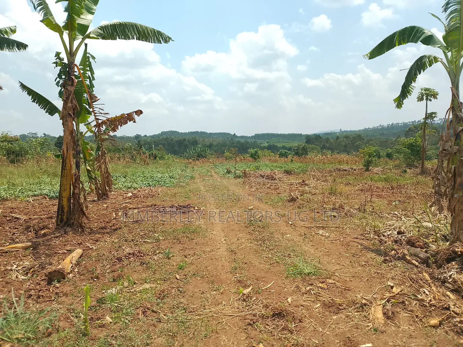 10 Plots for Sale – Kilolo Kabale! in Division A