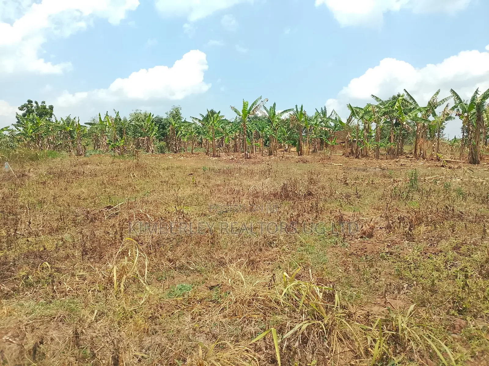 10 Plots for Sale – Kilolo Kabale! in Division A
