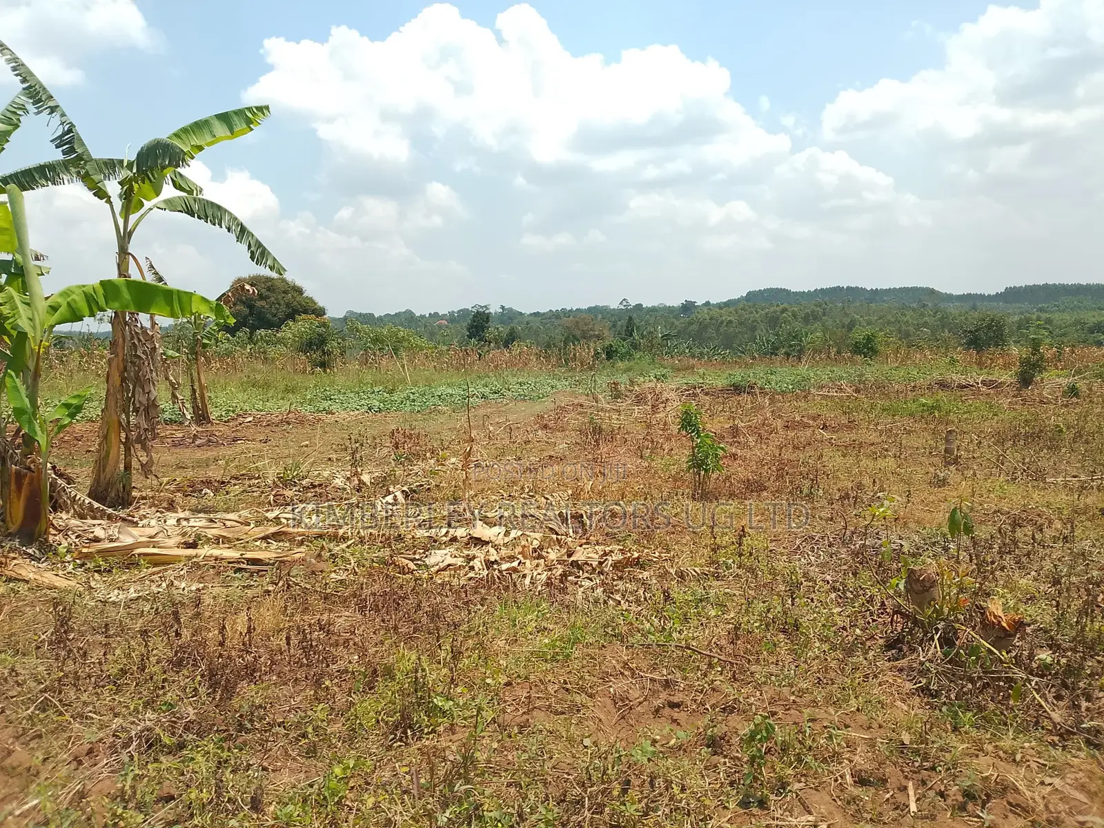 10 Plots for Sale – Kilolo Kabale! in Division A