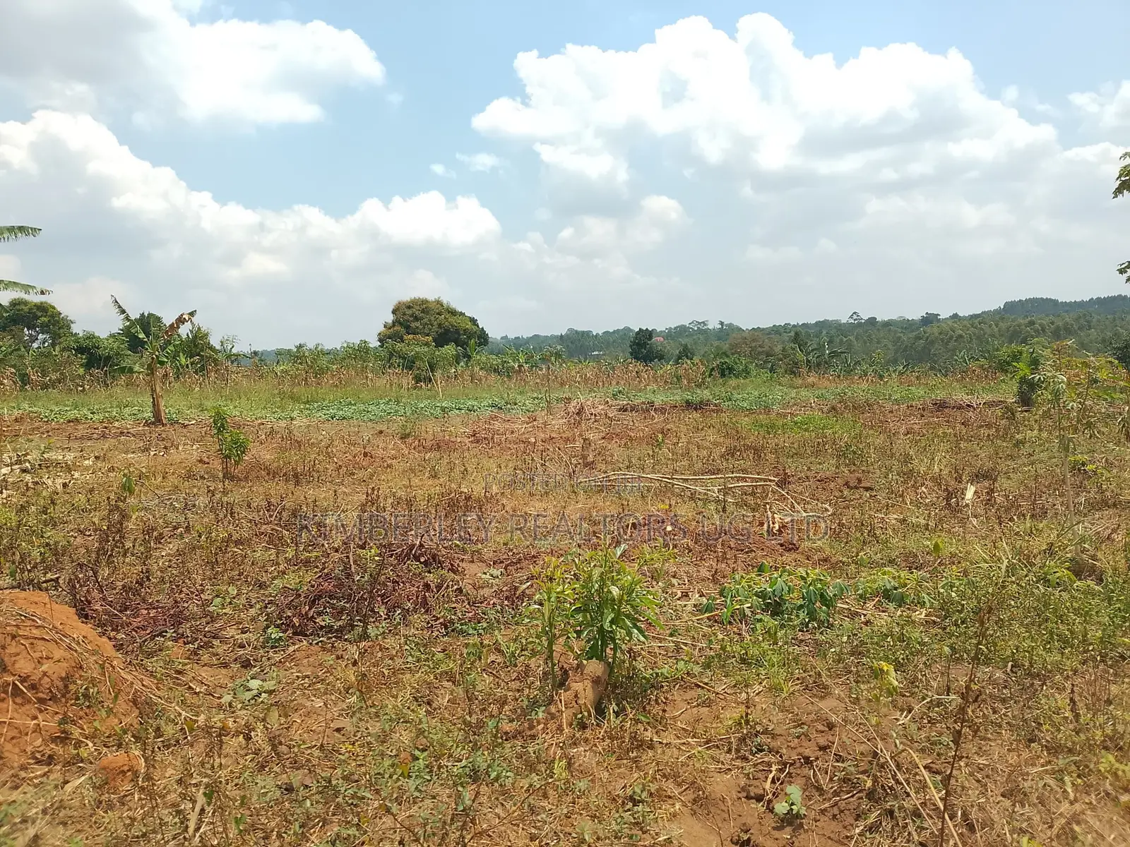 10 Plots for Sale – Kilolo Kabale! in Division A
