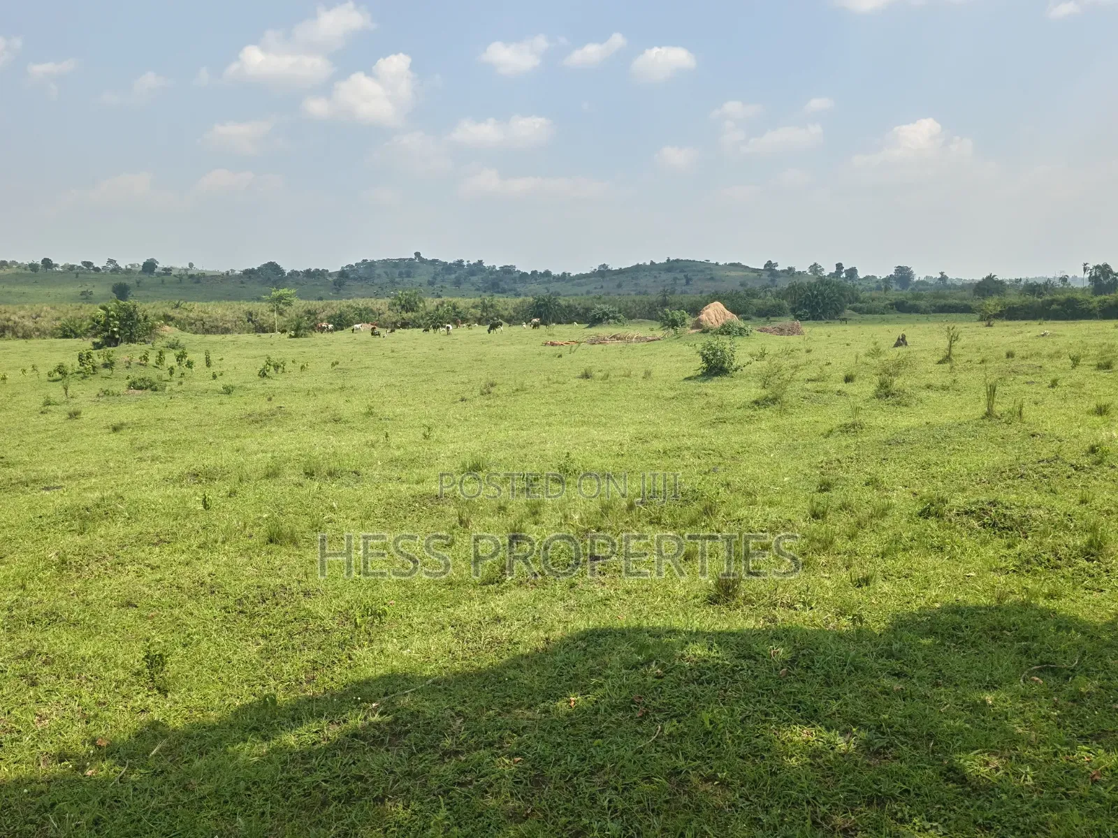 Farmland Seated on 14acres in Kyenjojo