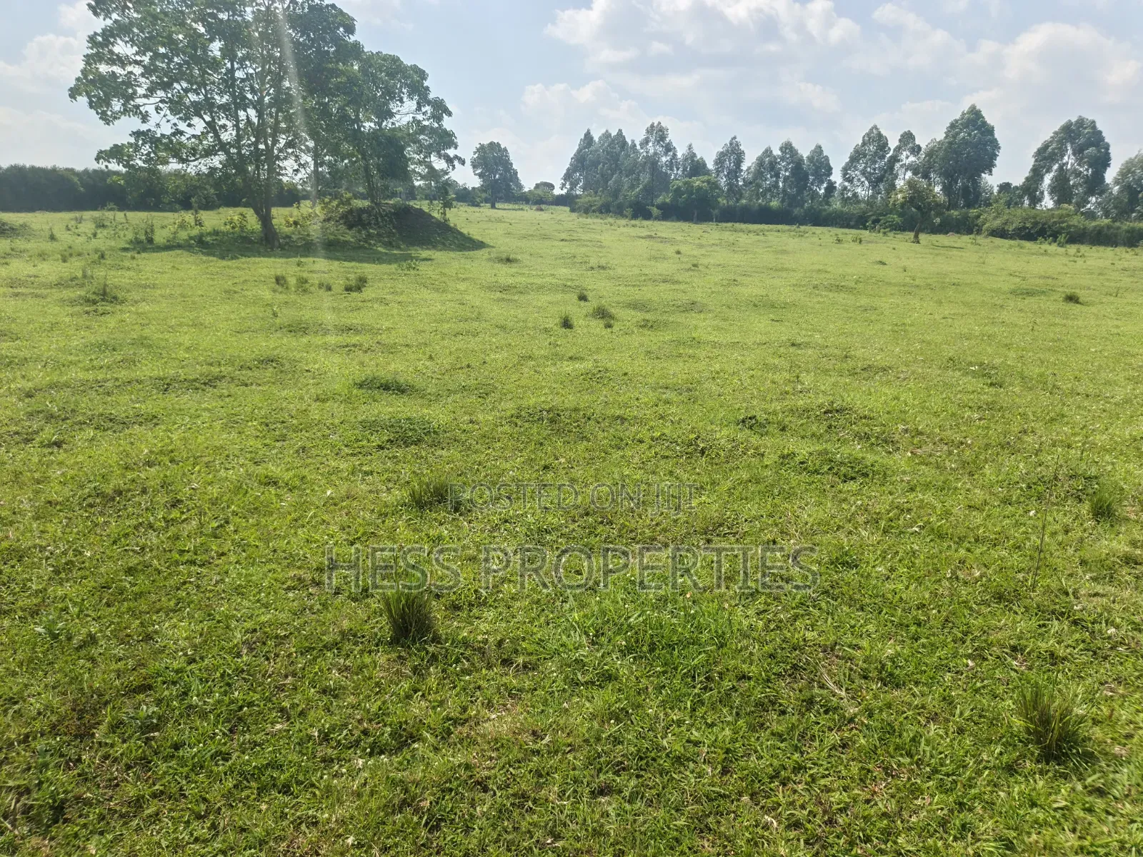 Farmland Seated on 14acres in Kyenjojo