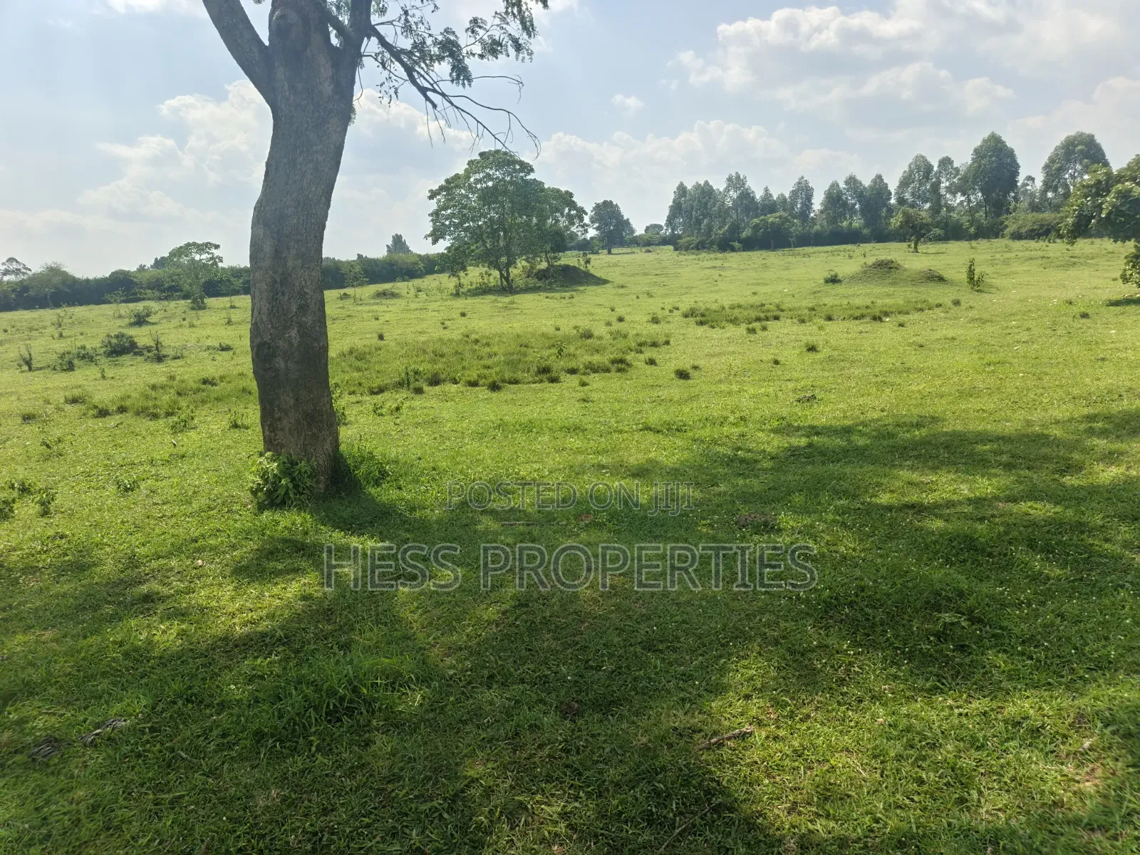 Farmland Seated on 14acres in Kyenjojo