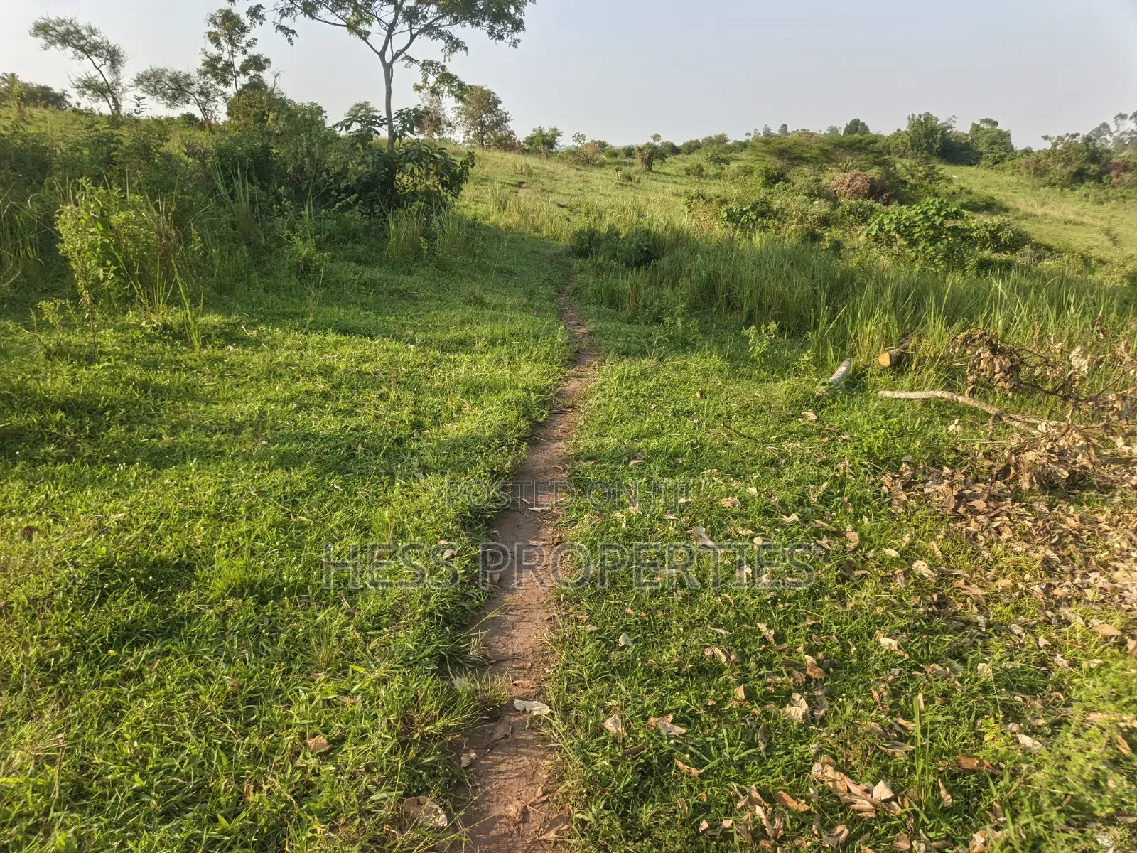 Titled Farmland Measuring 50acres on Sale Located in Kyenjojo District in Kyenjojo
