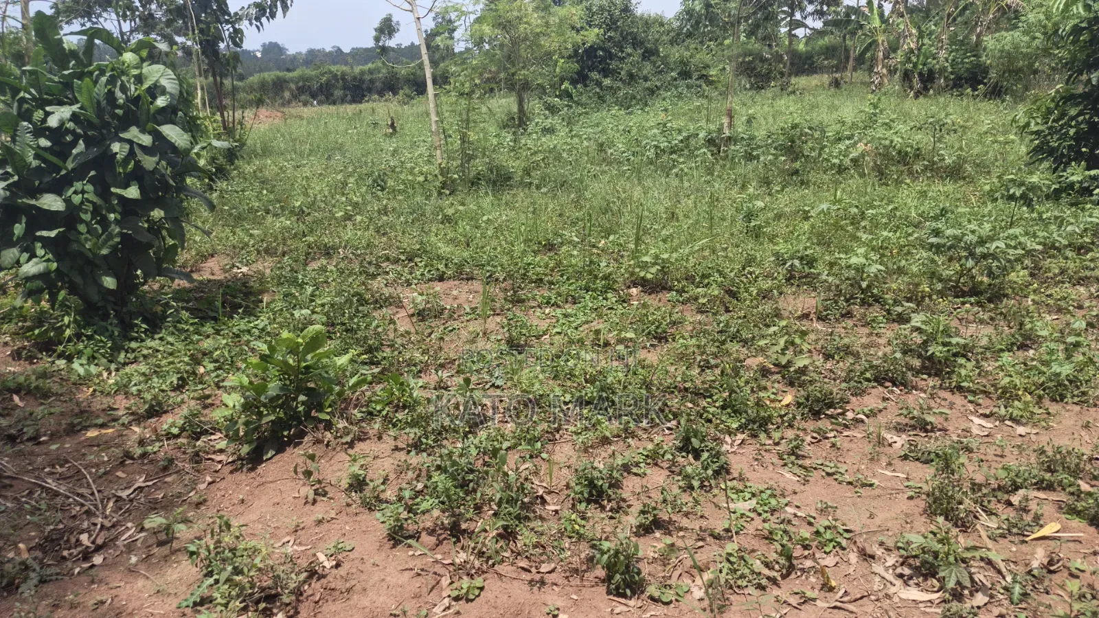 1 Acre for Sale Located at Bukerere Kasayi in Mukono TC
