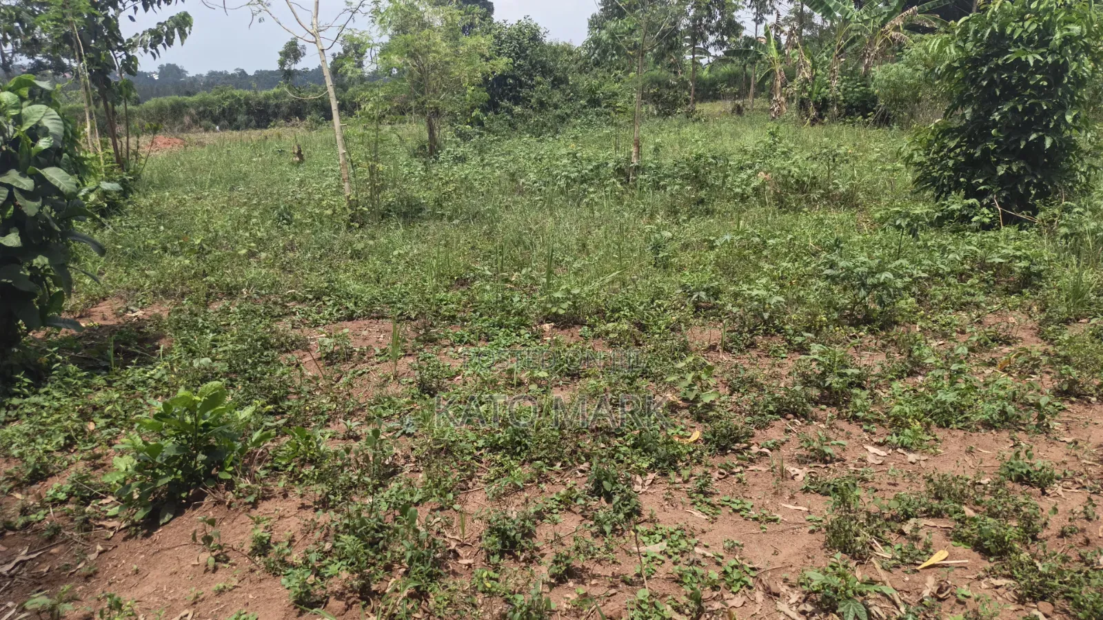1 Acre for Sale Located at Bukerere Kasayi in Mukono TC