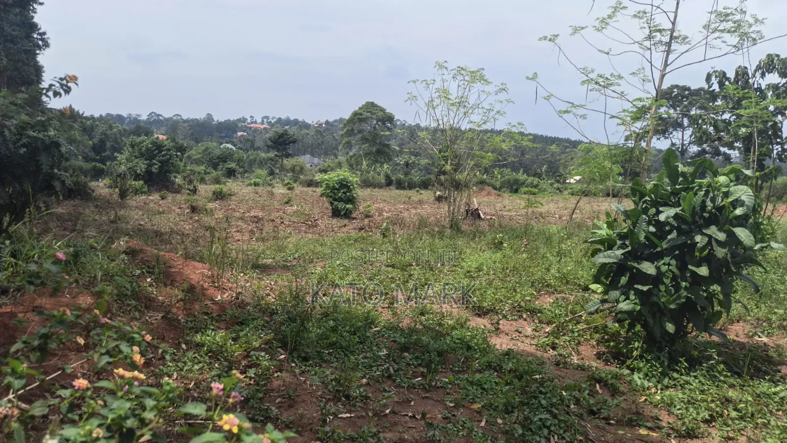 1 Acre for Sale Located at Bukerere Kasayi in Mukono TC