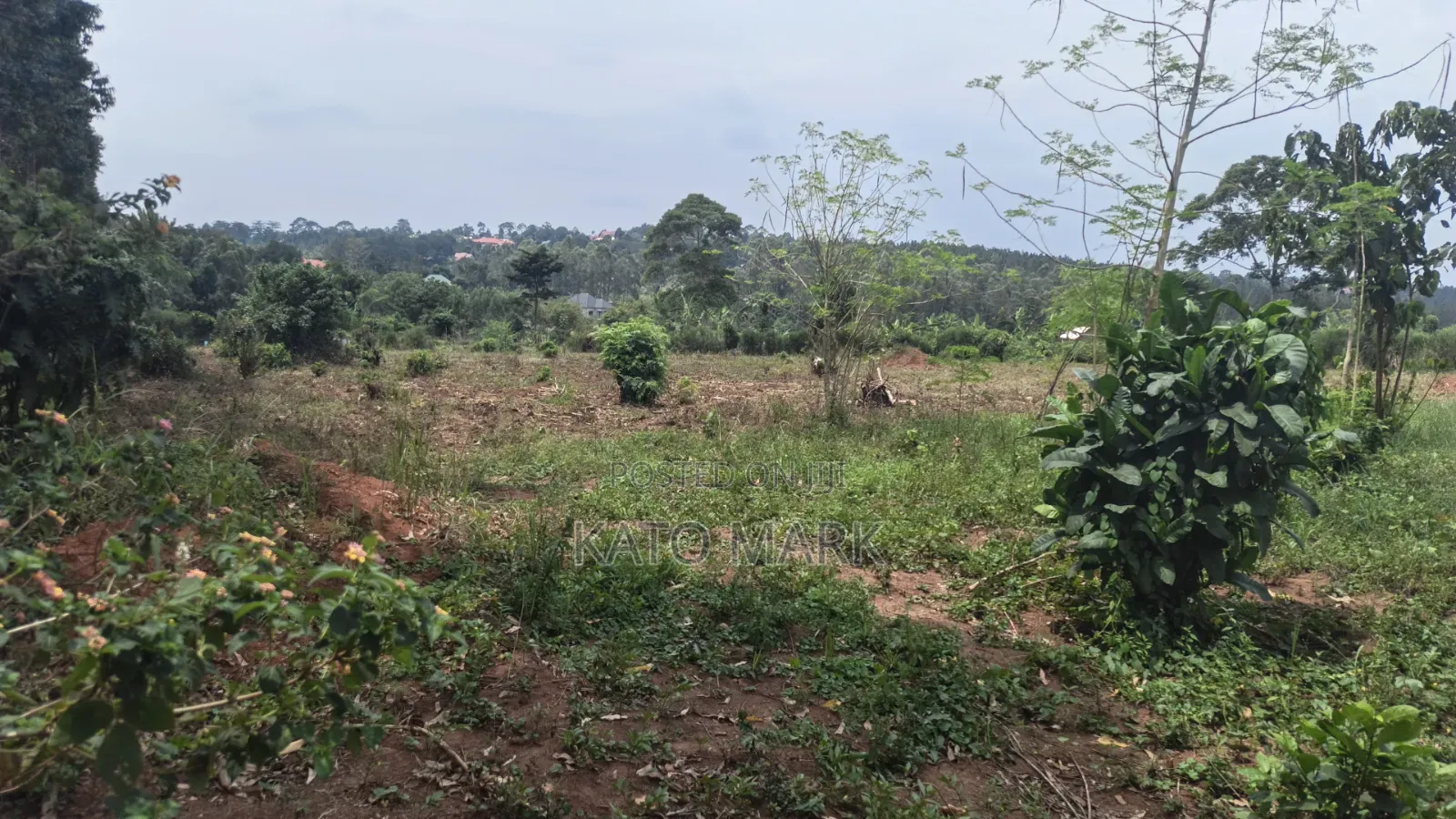 1 Acre for Sale Located at Bukerere Kasayi in Mukono TC