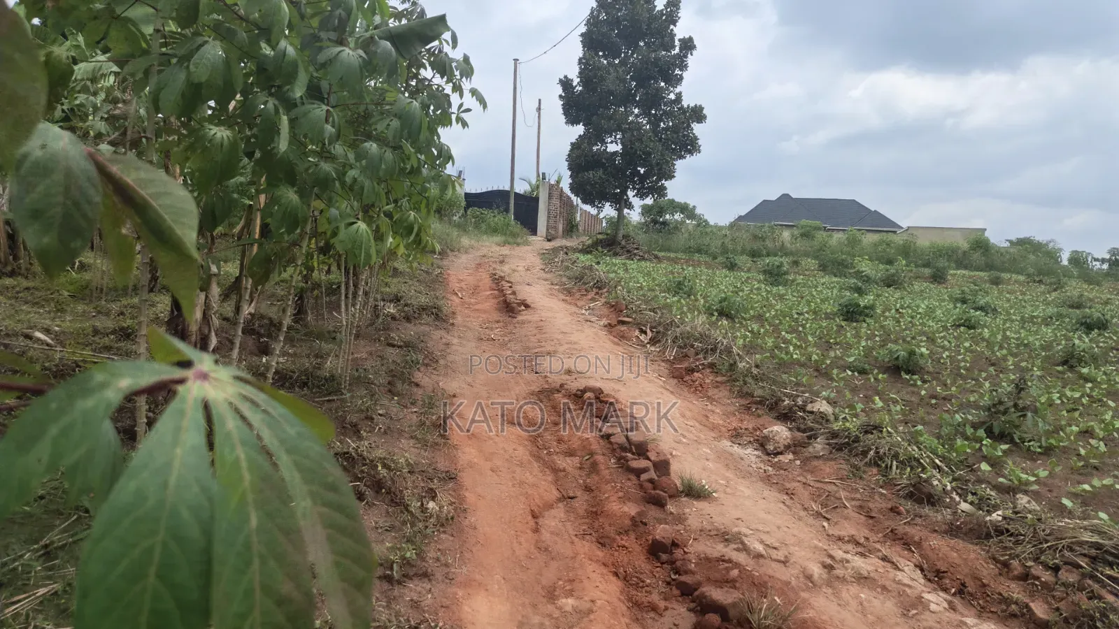 1 Acre for Sale Located at Namugongo 2_Namulaba in Mukono TC