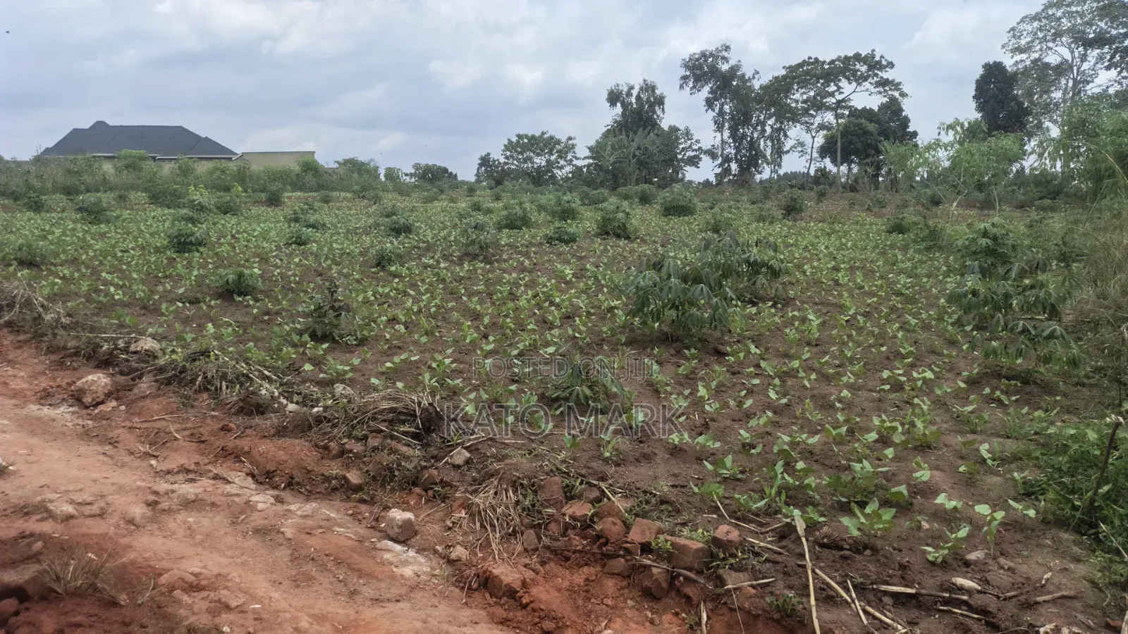 1 Acre for Sale Located at Namugongo 2_Namulaba in Mukono TC