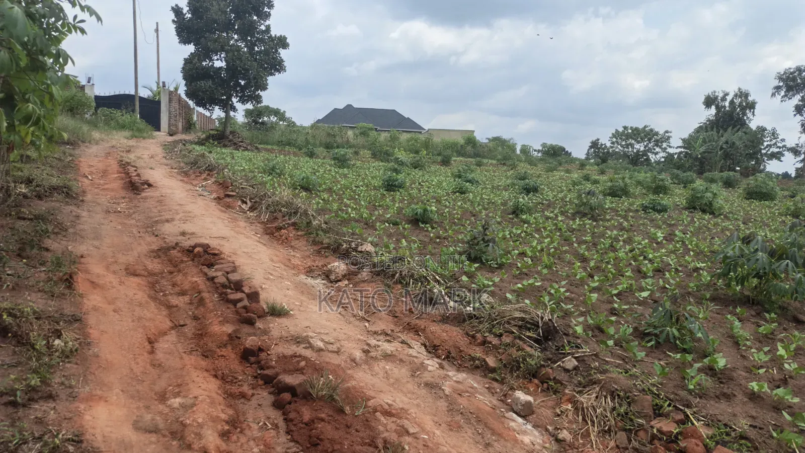 1 Acre for Sale Located at Namugongo 2_Namulaba in Mukono TC