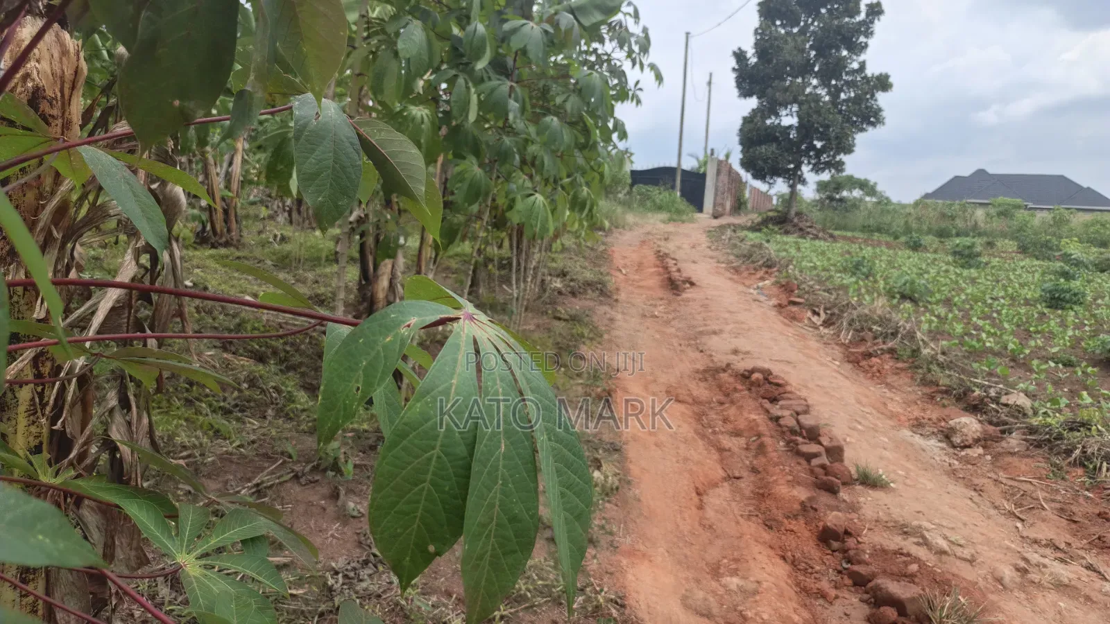 1 Acre for Sale Located at Namugongo 2_Namulaba in Mukono TC
