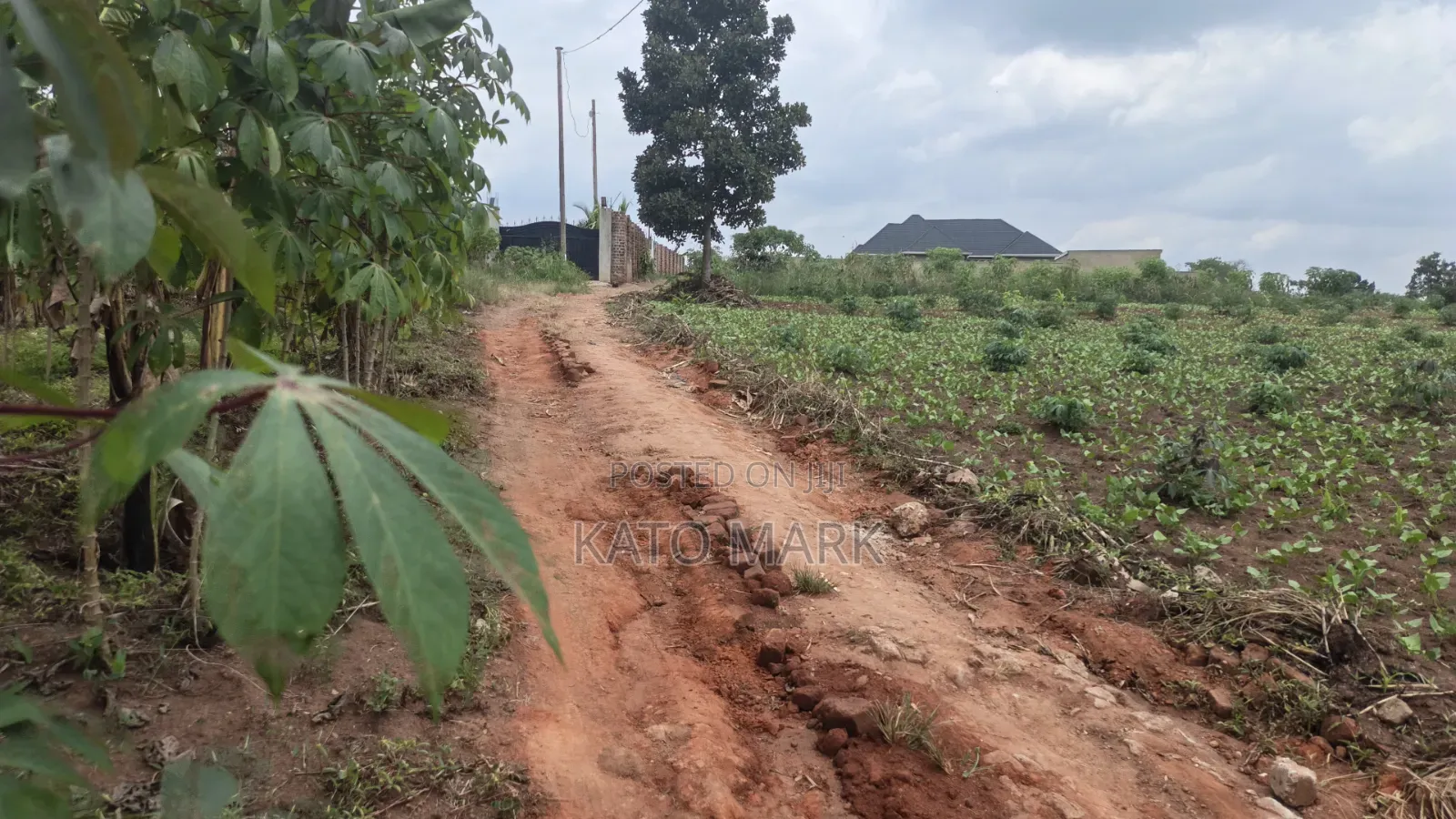 1 Acre for Sale Located at Namugongo 2_Namulaba in Mukono TC