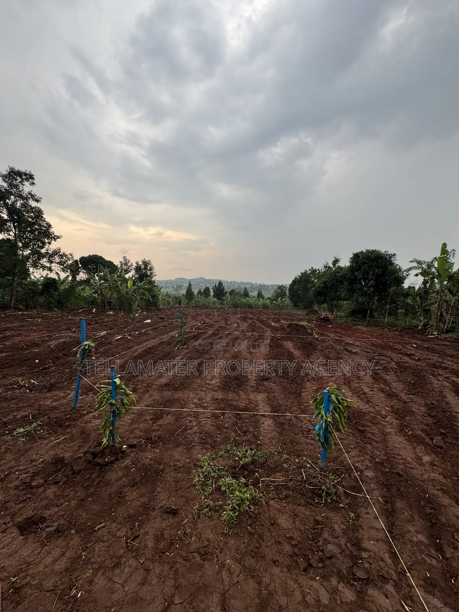 New Nakifuma-Kakinzi Estate 50*50ft and 50*100 Plots Kabaka Land in Kyampisi