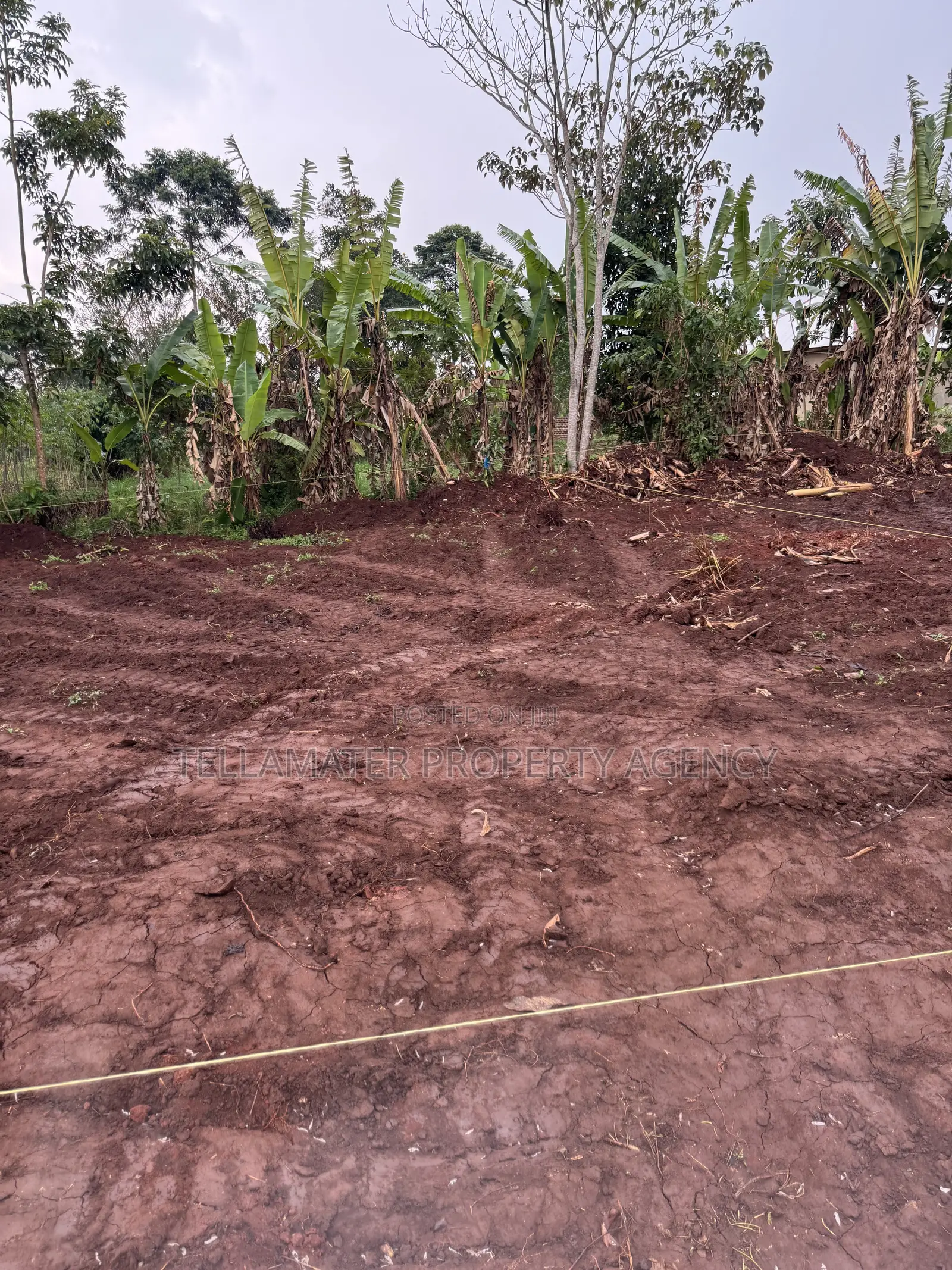 New Nakifuma-Kakinzi Estate 50*50ft and 50*100 Plots Kabaka Land in Kyampisi