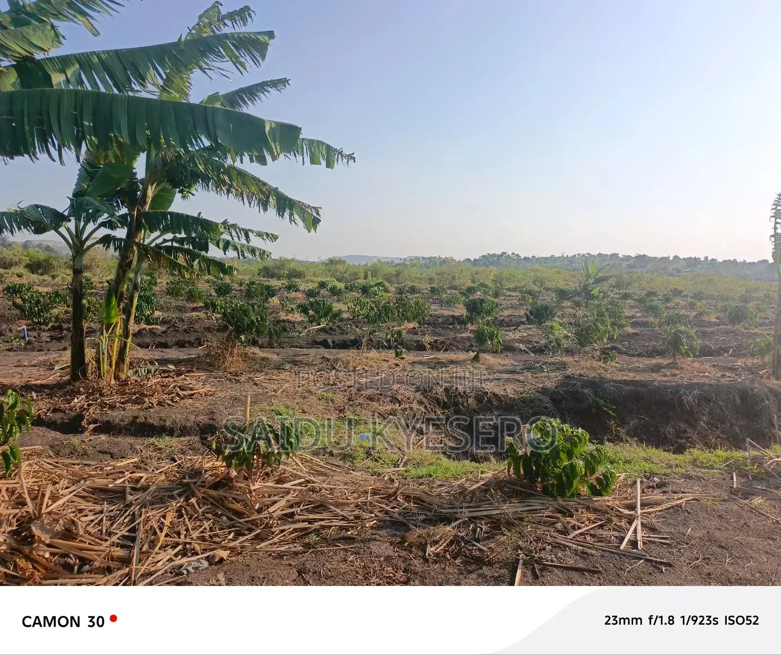Land at LWENGO in Katwe