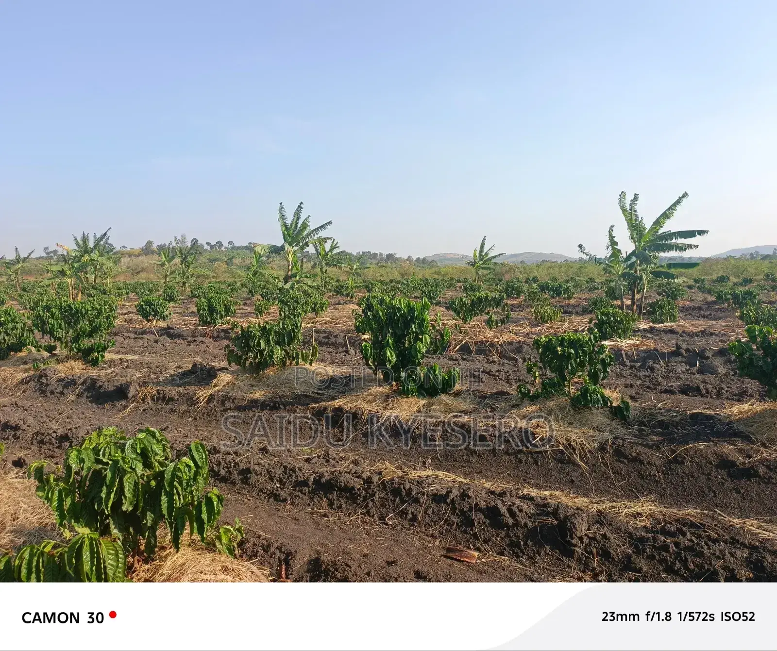 Land at LWENGO in Katwe