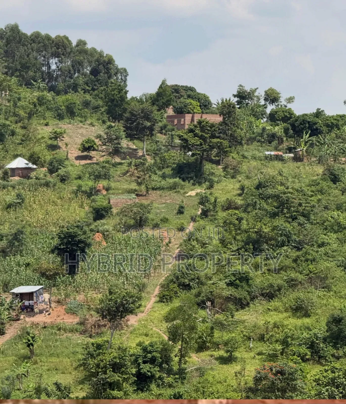 Prime Plots for Sale at Gobero~Kibujo Land Estate Along Hoima Road. in Kakiri