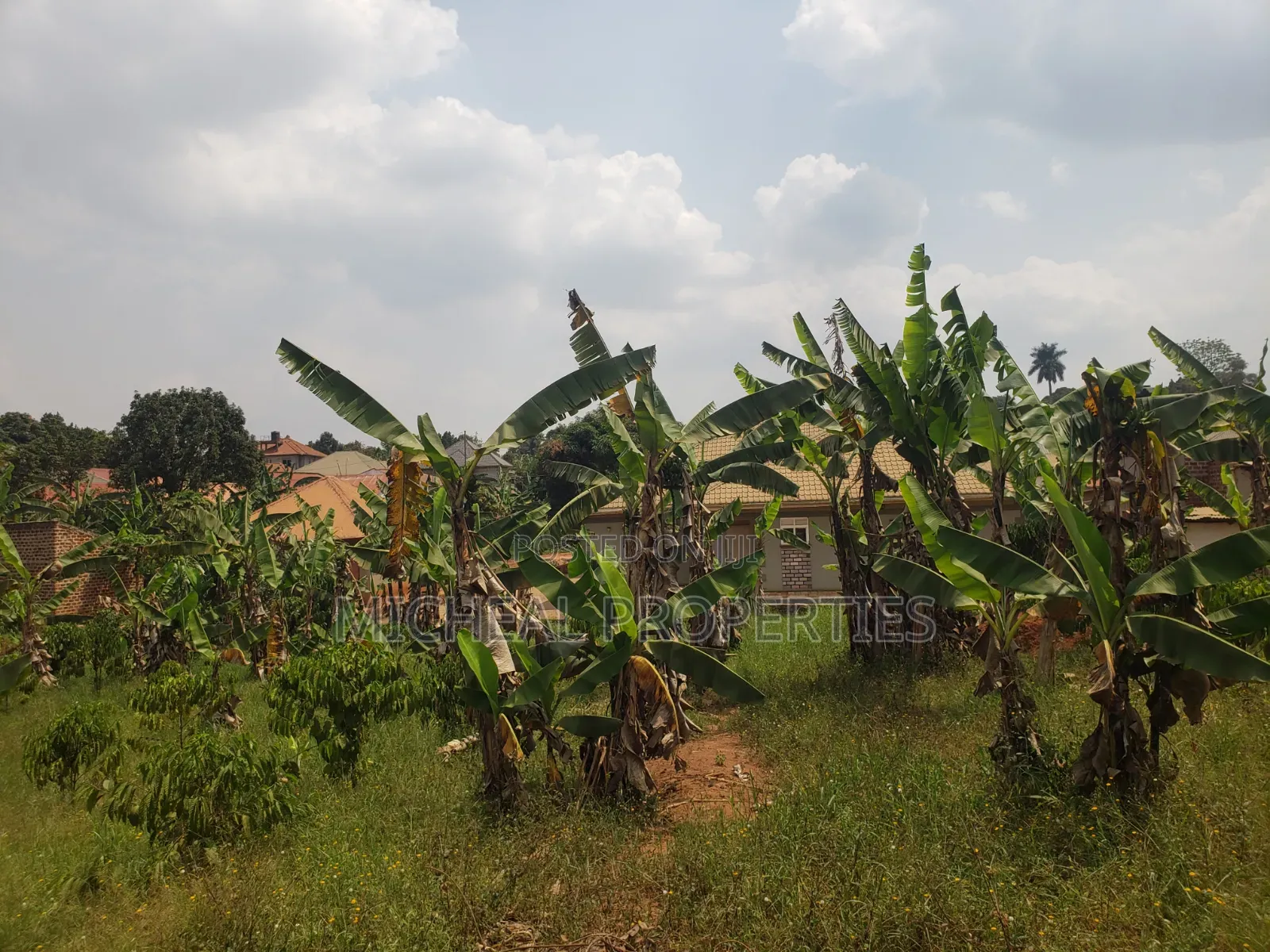 Plot for Sell Mpelerwe Kitagobwa in Kawempe